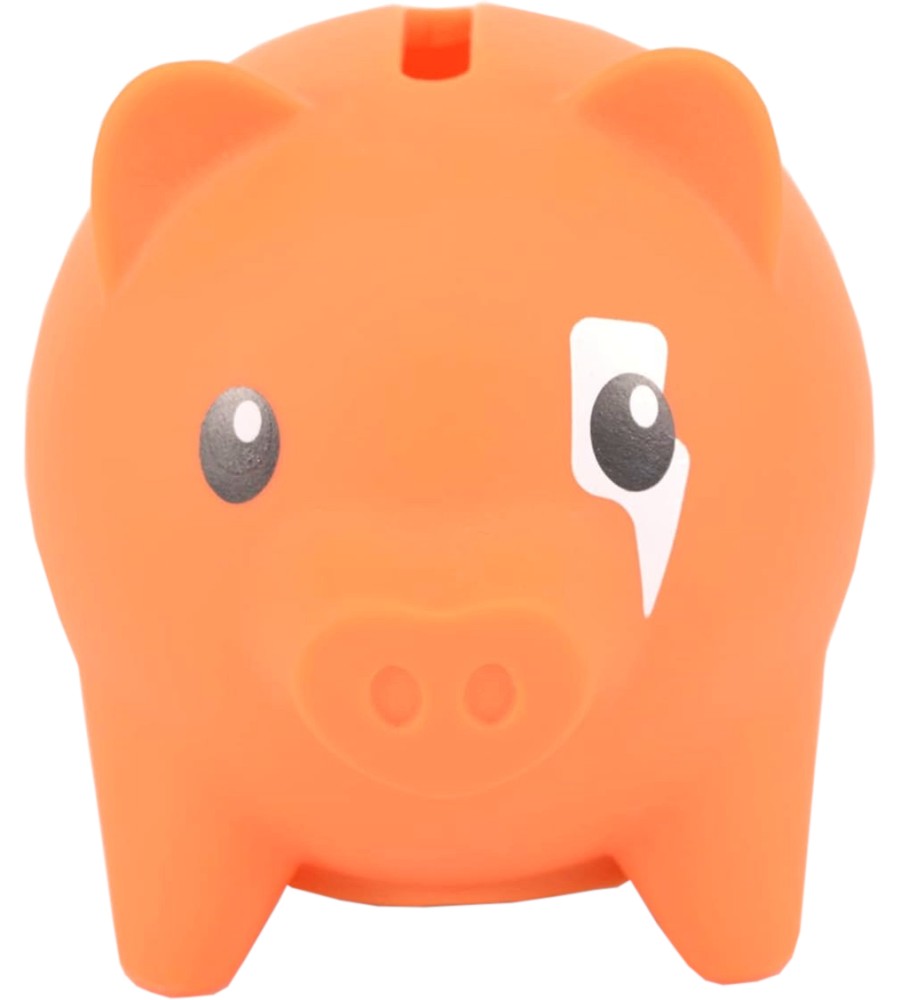      Pocket Money Piggies -  