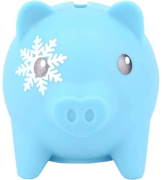      Pocket Money Piggies -  