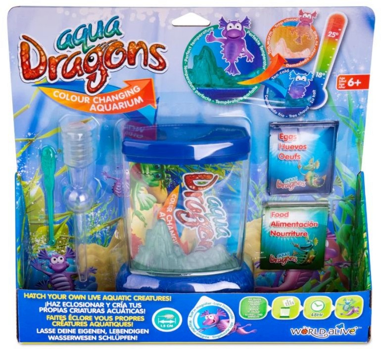      - Aqua Dragons -      - 