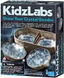 ��������� ����� - ������ ������������� �������� �� ������� "Kidz Labs" - ������������� ��������
