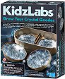 ��������� ����� - ������ ������������� �������� �� ������� "Kidz Labs" - ������������� ��������