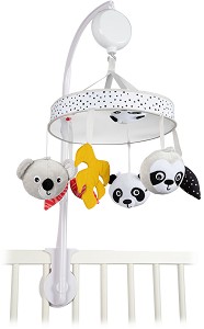    Canpol babies -     Bluetooth,   BabiesBoo - 