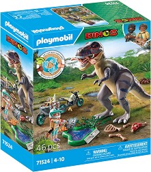 Playmobil Dinos -     - - 