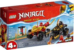 LEGO Ninjago -      -   - 