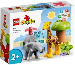 LEGO Duplo -      -   - 