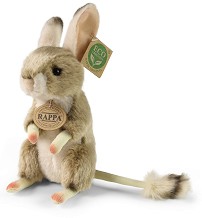     - Rappa -   16 cm - 